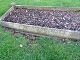 image of grave number 801381